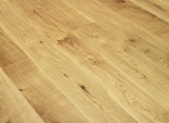 PLANK